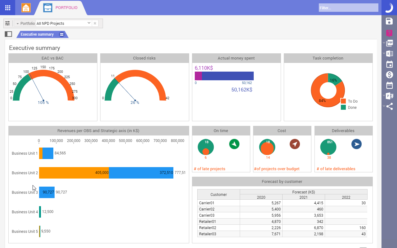 Portfolio Executive Summary